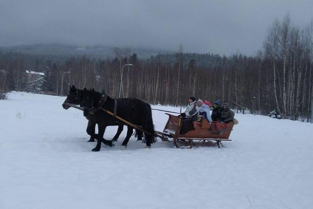 Nowoczesne Mieszkanie Blisko Natury I Sklepu Biedronka Karpacz Esterno foto