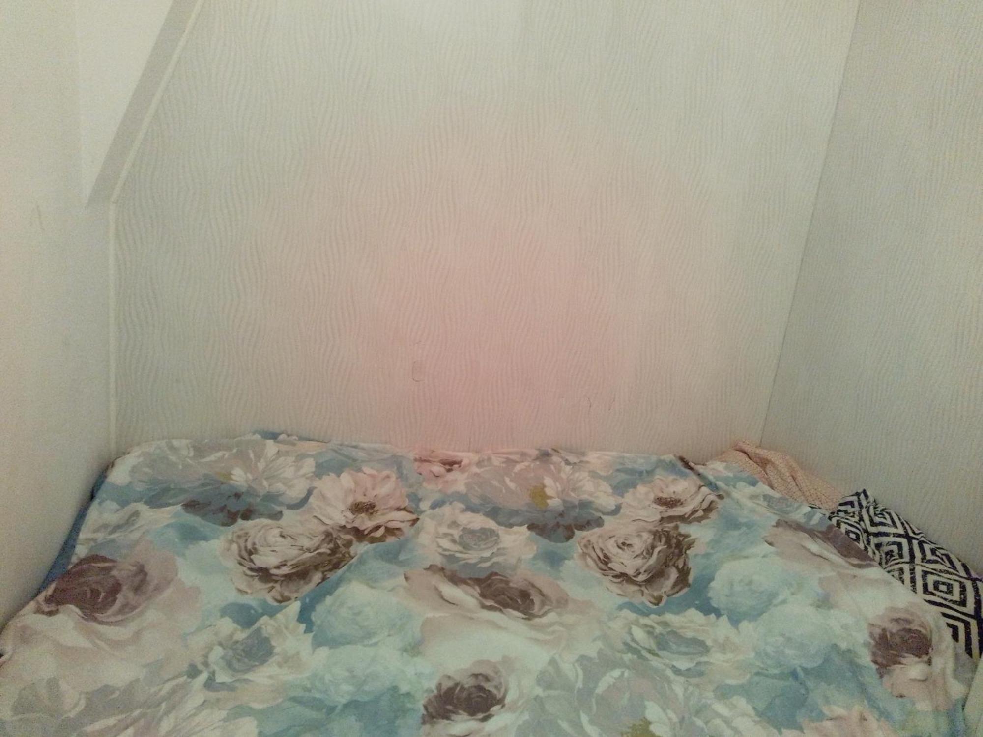 Nowoczesne Mieszkanie Blisko Natury I Sklepu Biedronka Karpacz Esterno foto
